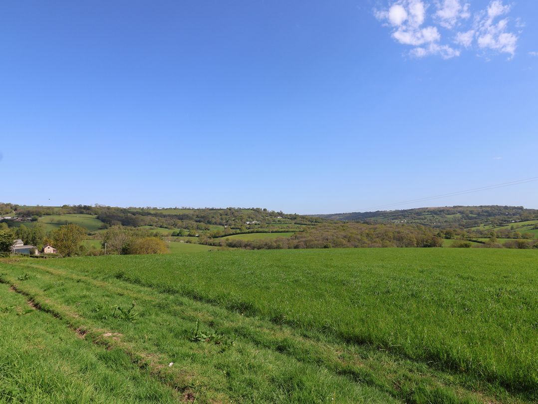 Ellishayes Farm