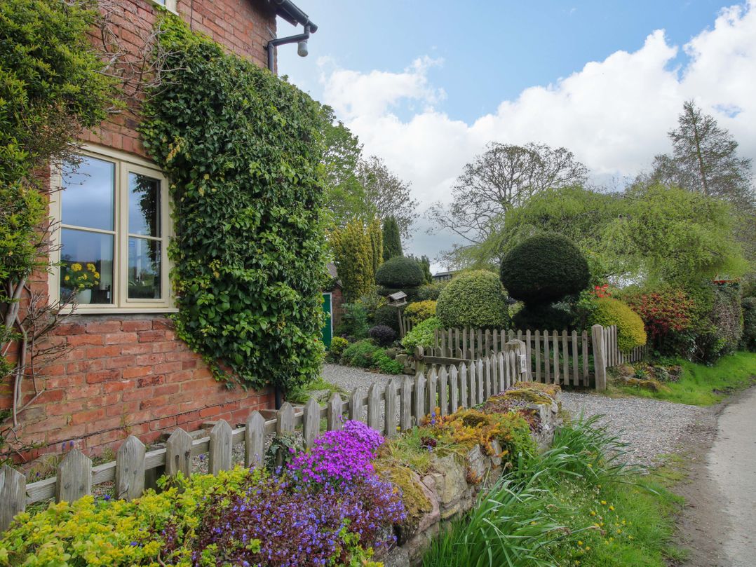 Ivy Cottage