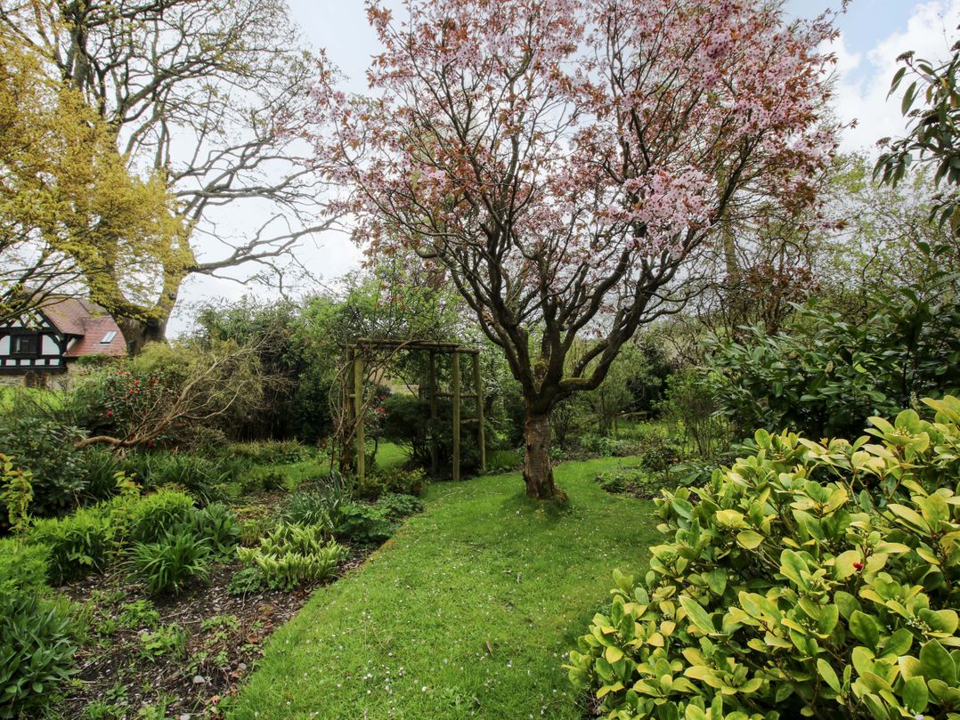 Ivy Cottage