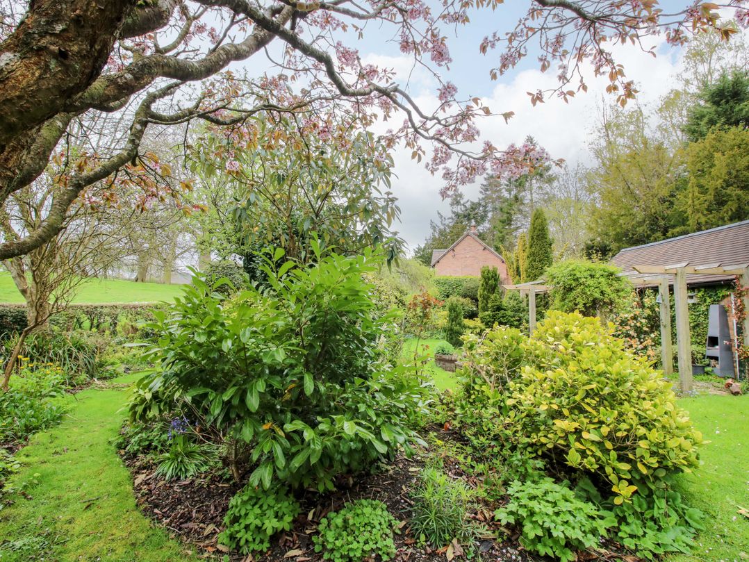 Ivy Cottage
