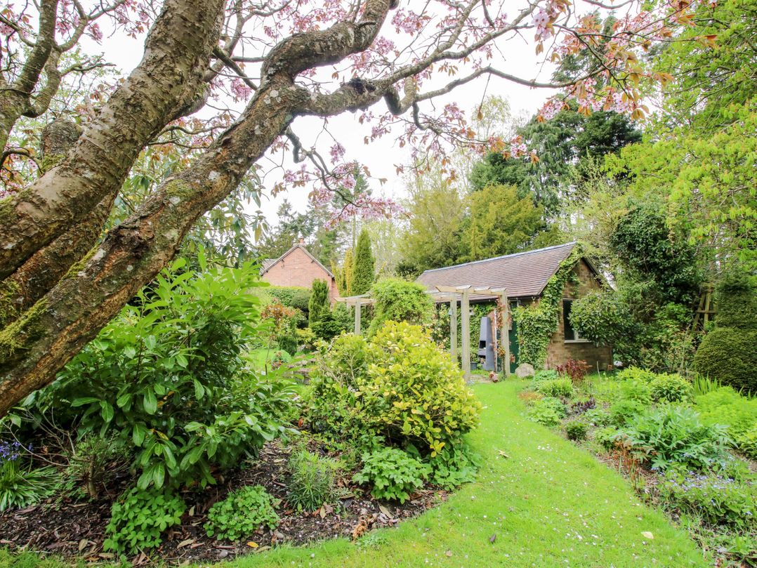 Ivy Cottage