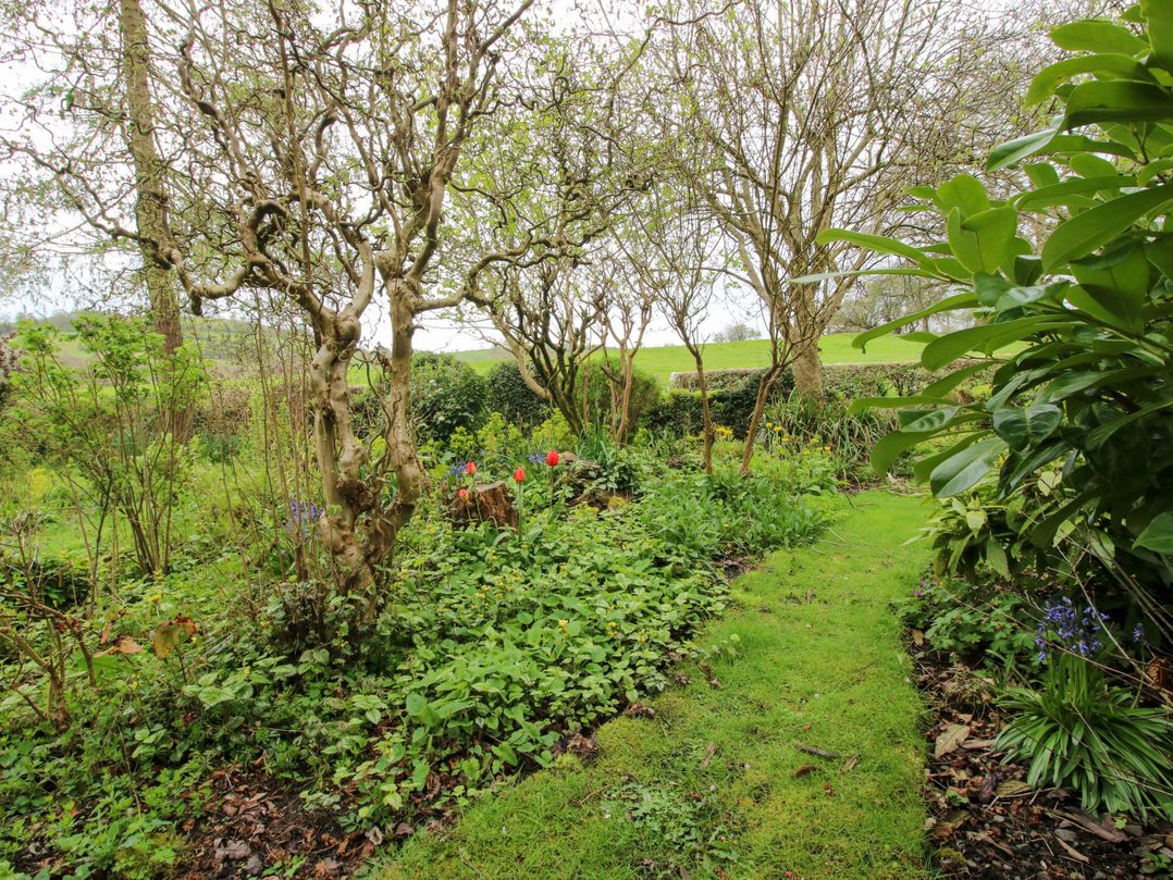 Ivy Cottage