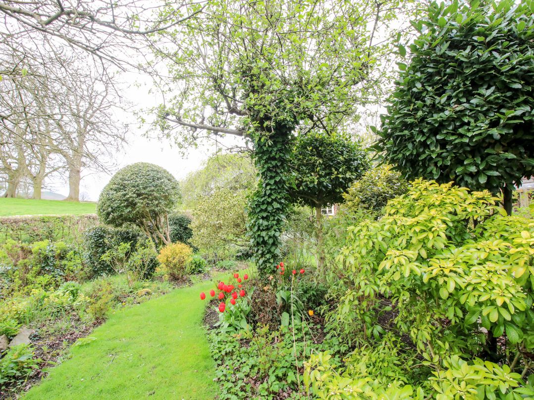 Ivy Cottage