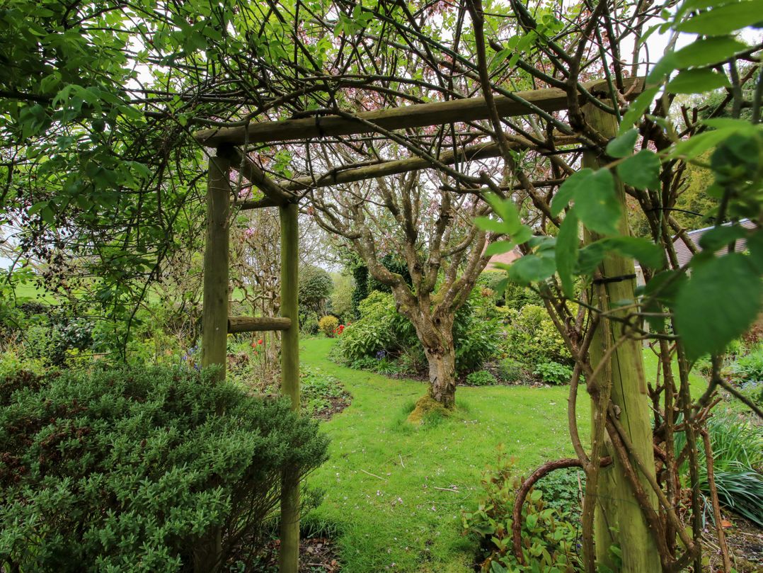 Ivy Cottage