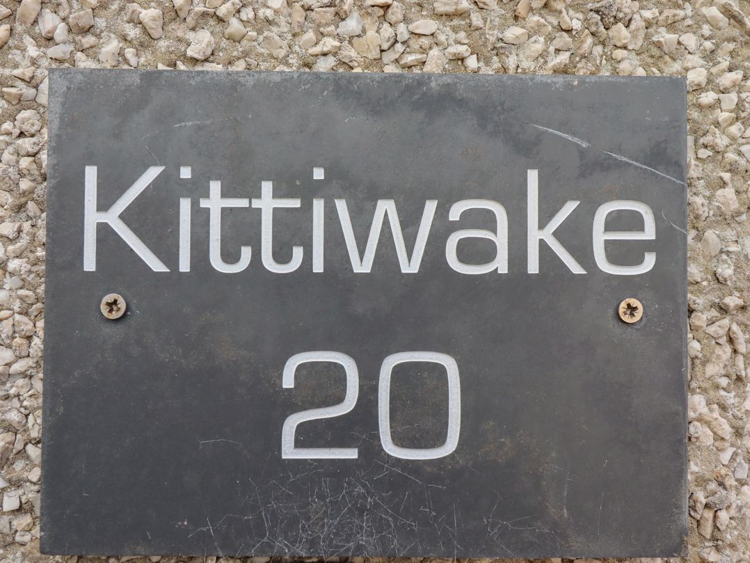 Kittiwake at No 20
