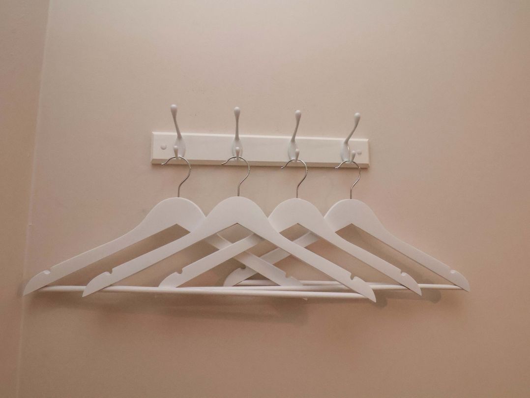 Seashells at Runswick Lodge