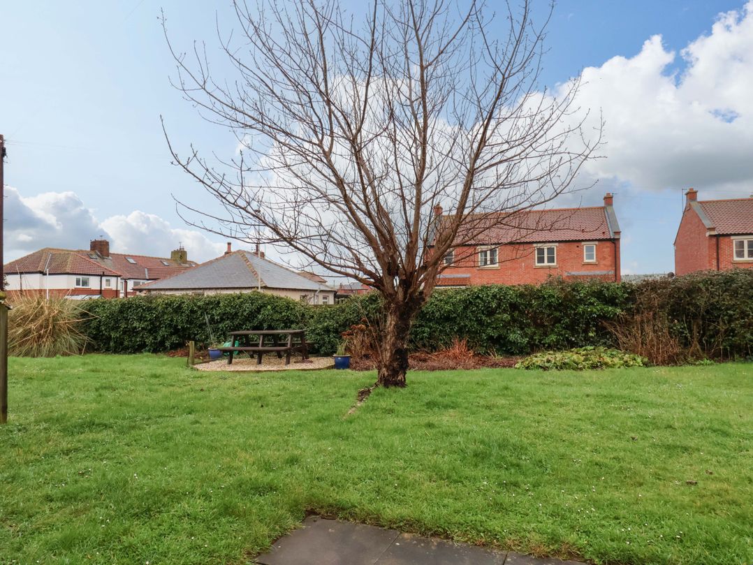 Seashells at Runswick Lodge