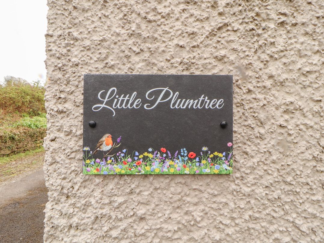 Little Plumtree