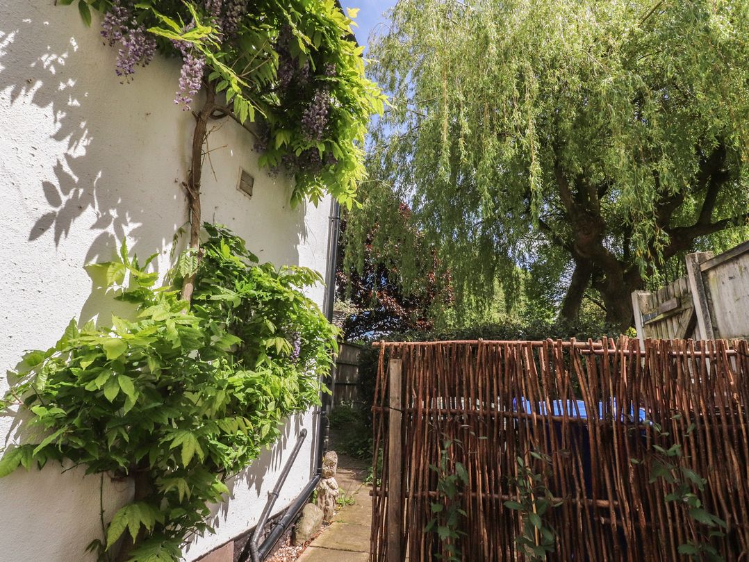 Grape Lane Cottage