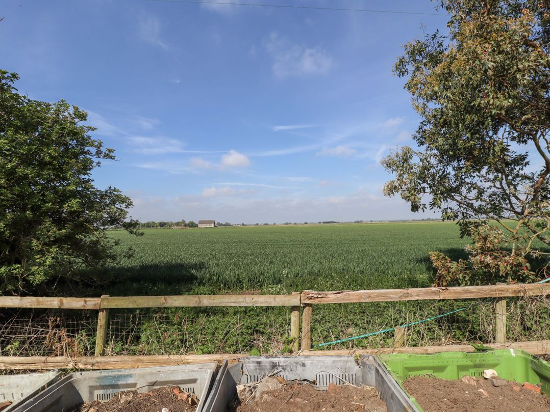 Ewe View