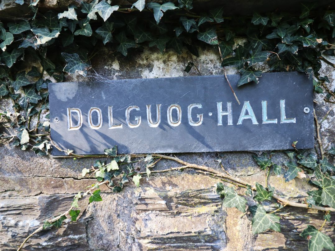Plas Dolguog