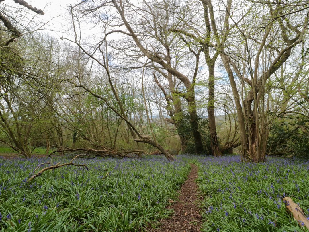 The Annexe at Cherry Cottage