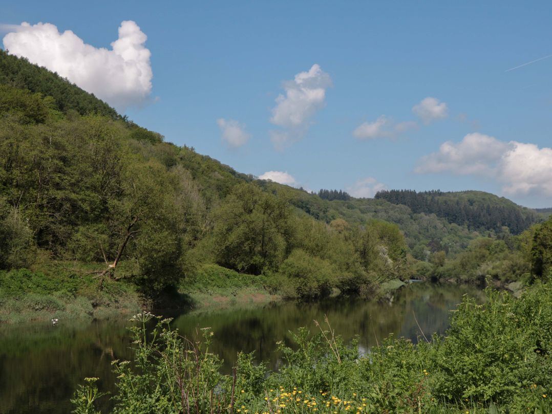Ferryman's Lodge