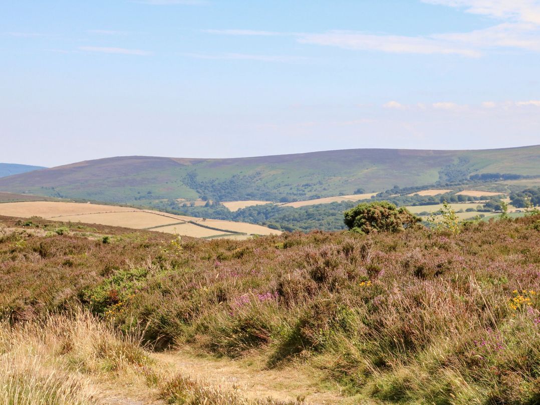 Owls Nest Lodge