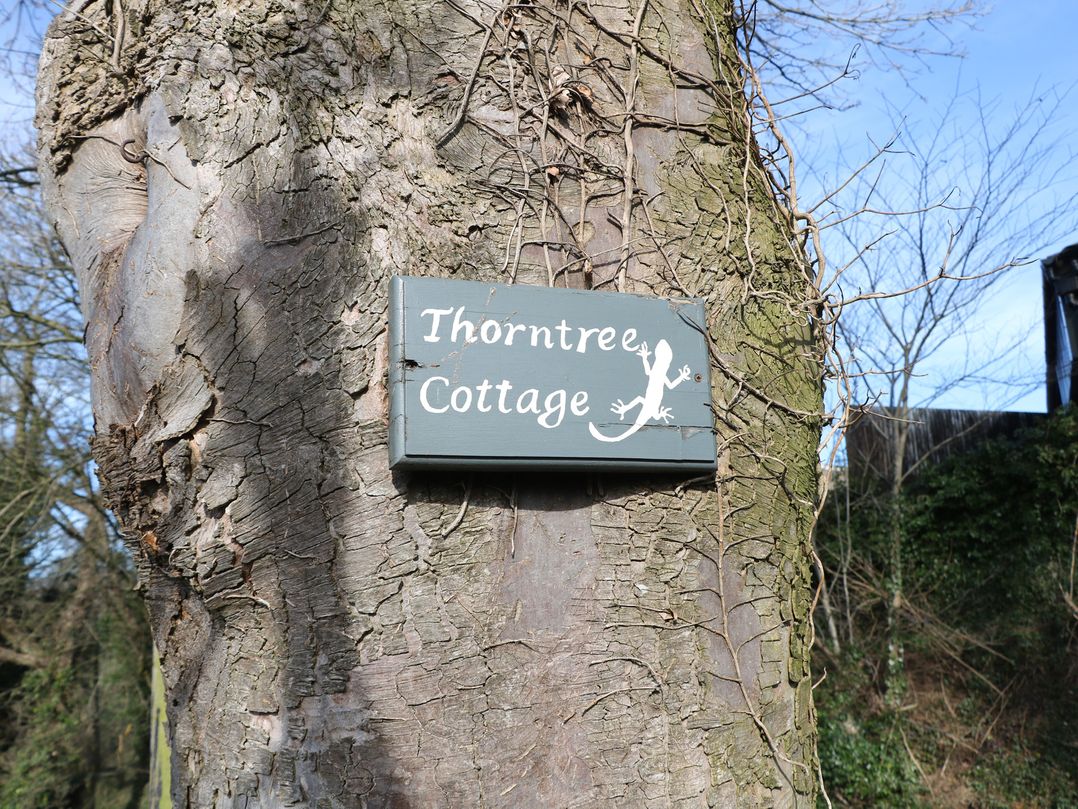 Thorn Tree Cottage