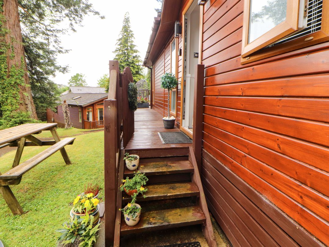 Jodene Lodge, Redwood 2