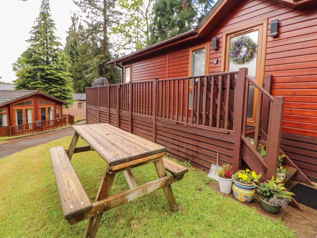 Jodene Lodge, Redwood 2