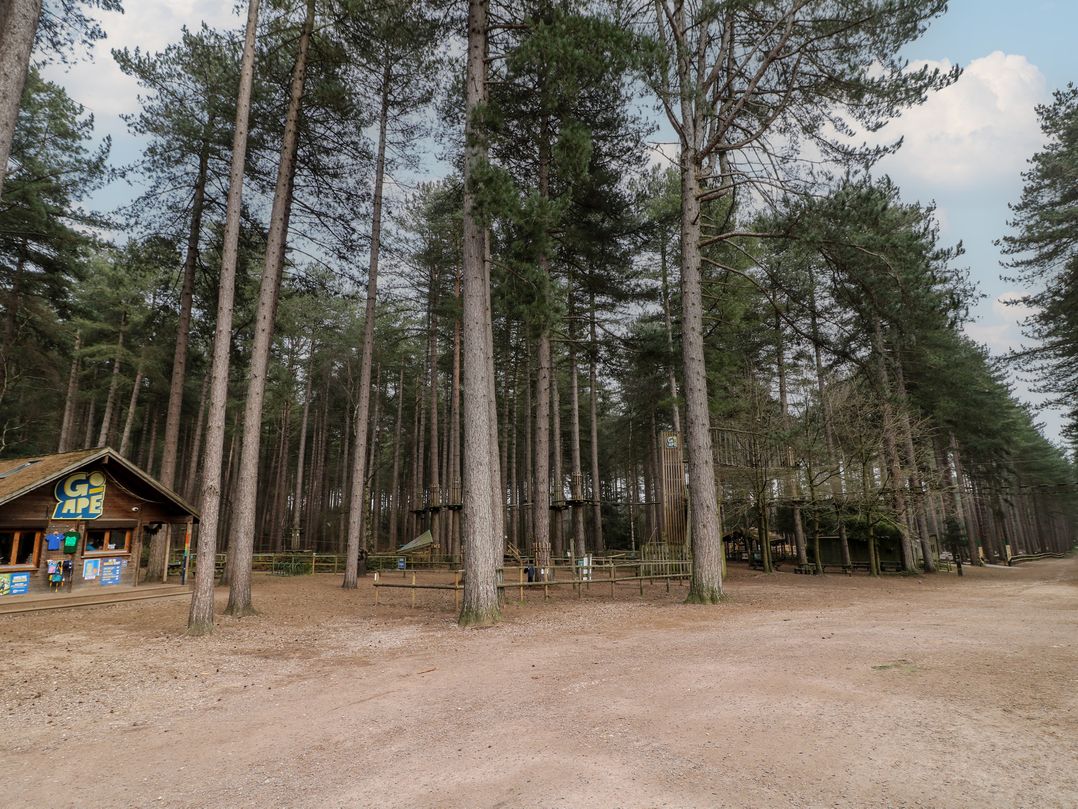 Sherwood Pines - Family Pod 1