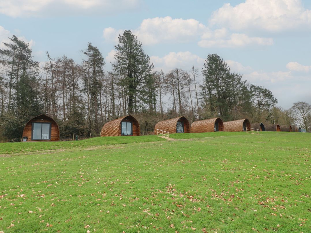 Sherwood Pines - Deluxe Pod 2