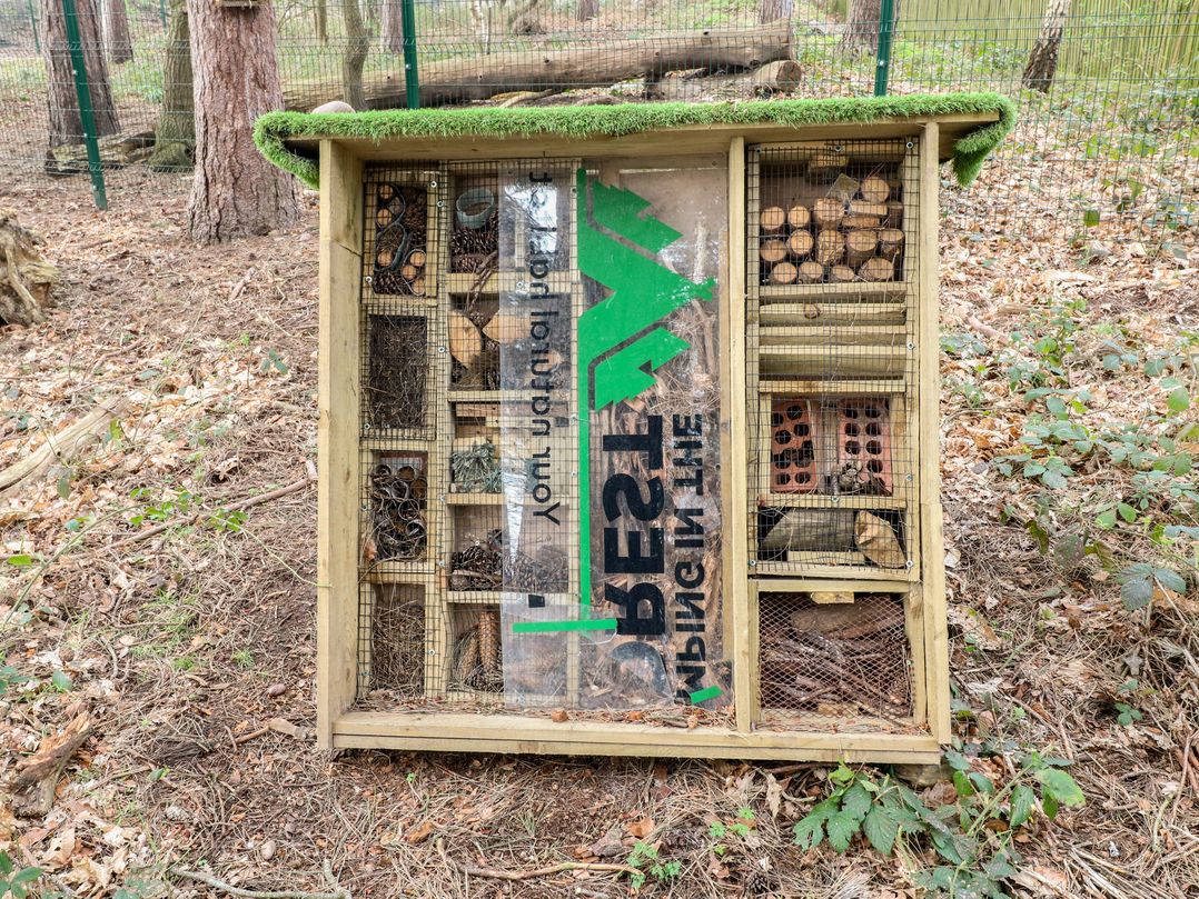 Sherwood Pines - Deluxe Pod 3