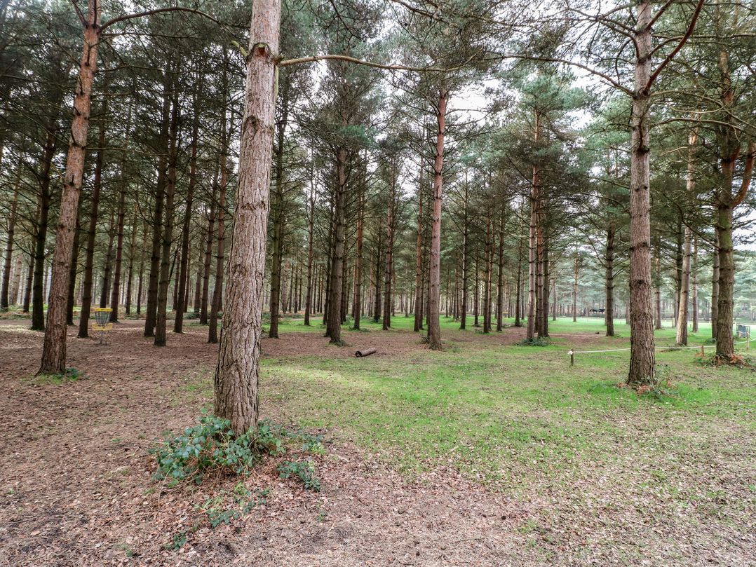 Sherwood Pines - Deluxe Pod 3