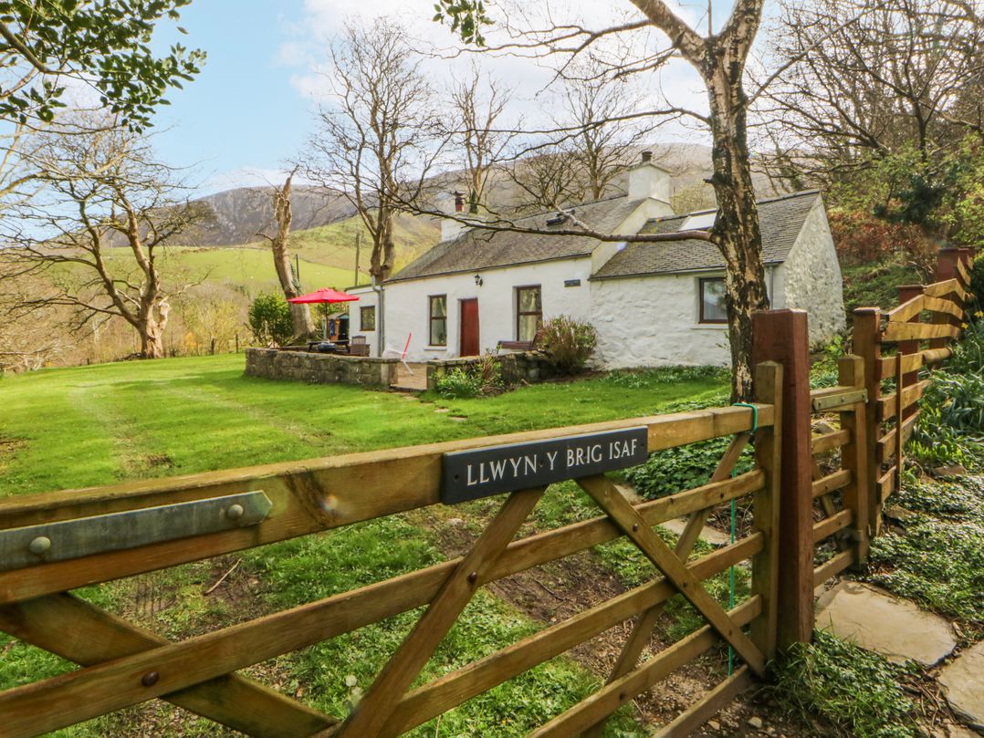 Llwyn Y Brig Isaf