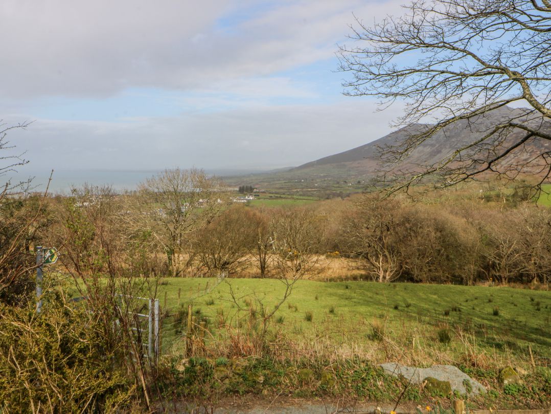 Llwyn Y Brig Isaf