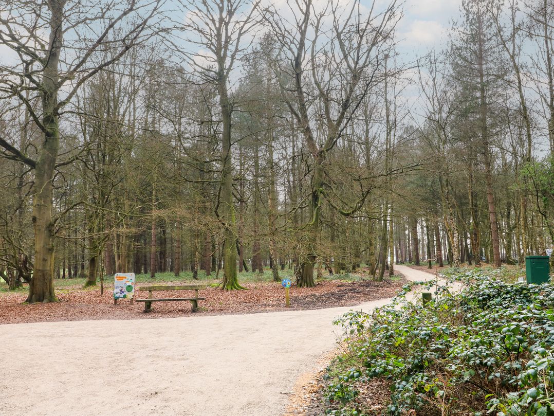 Sherwood Pines - Geodome