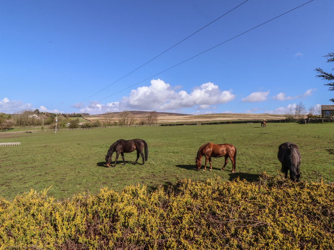 1 Upper Austby Farm Cottage