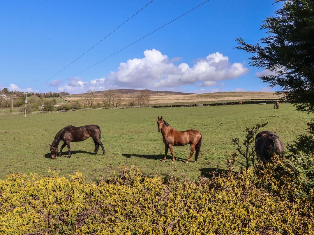 1 Upper Austby Farm Cottage