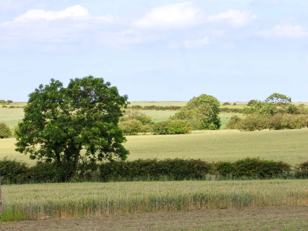 Freedom Lodge @ Summerfield Farm
