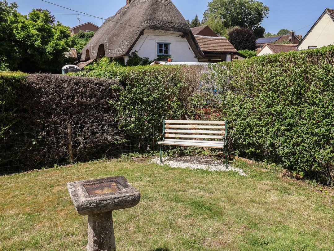 A garden with a bench and birdbath at Tane Winterborne Stickland