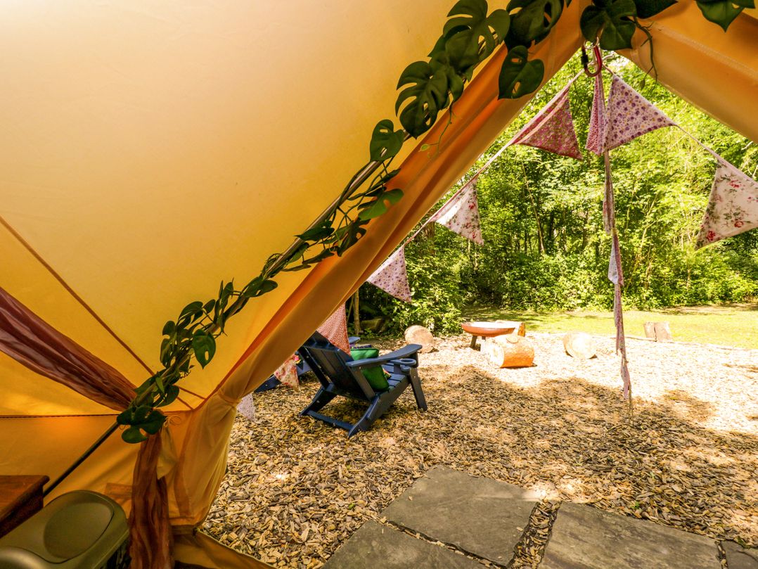 Jungle Bell Tent