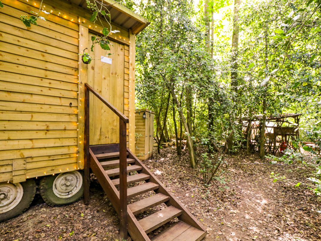 Jungle Bell Tent