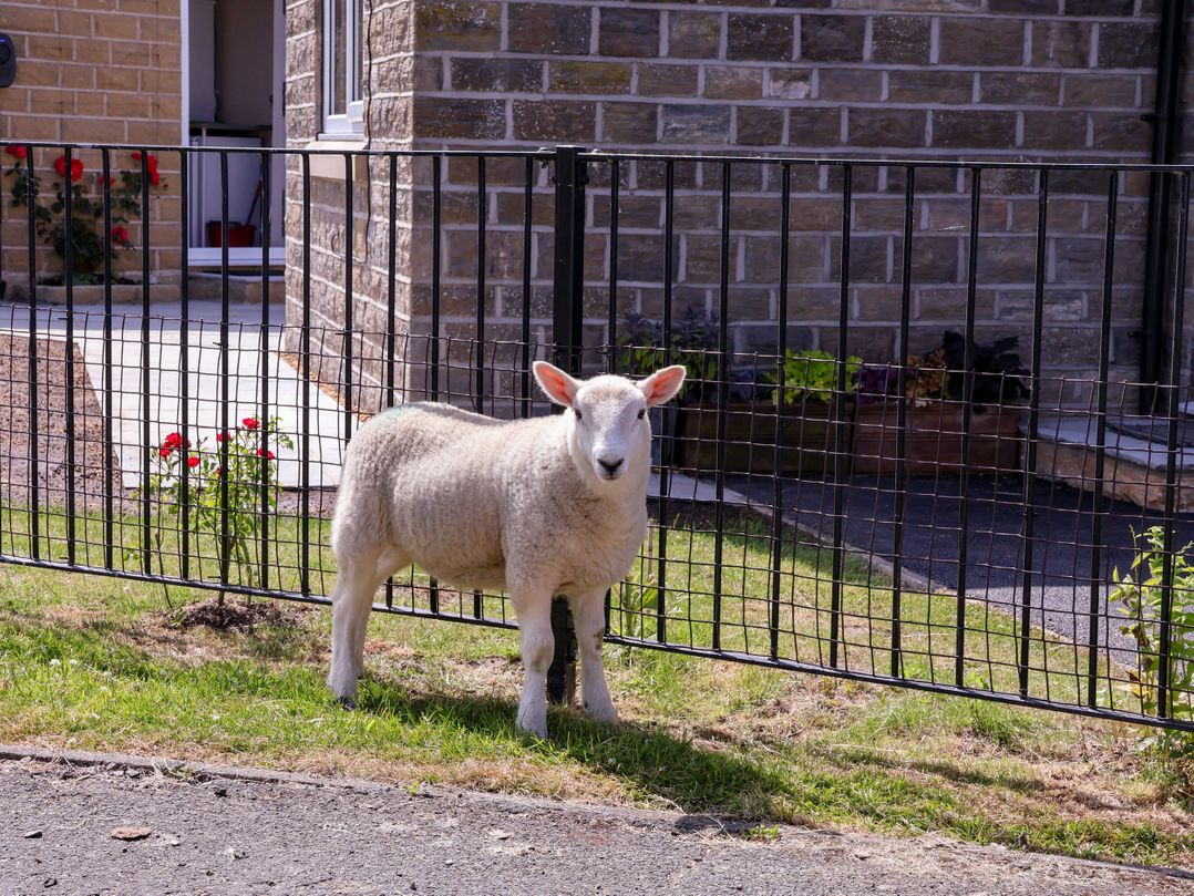 Wheeldale Cottage