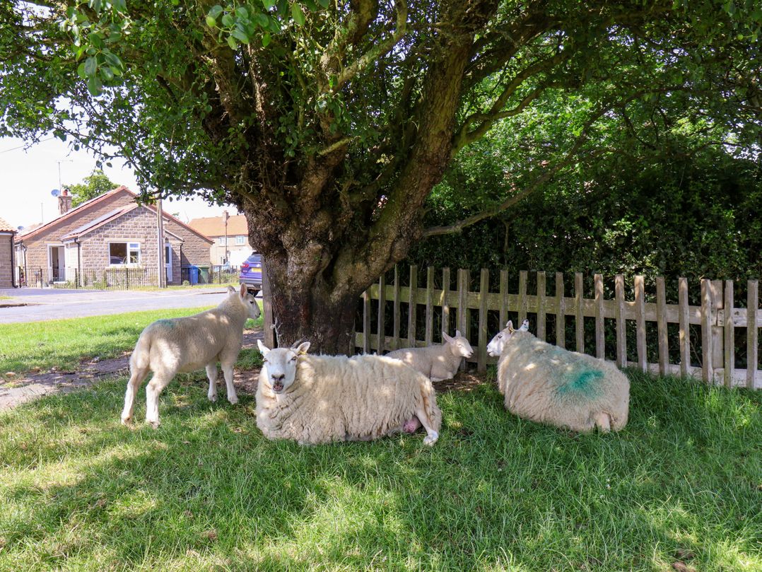 Wheeldale Cottage