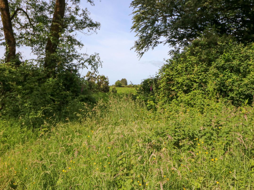 Gullane East