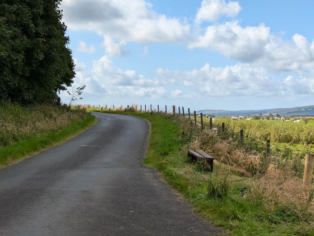 Pet Friendly - Lodge at Riverview Holiday Park