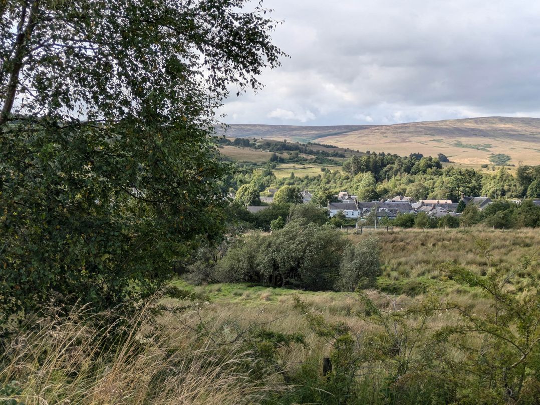 Pet Friendly - Lodge at Riverview Holiday Park