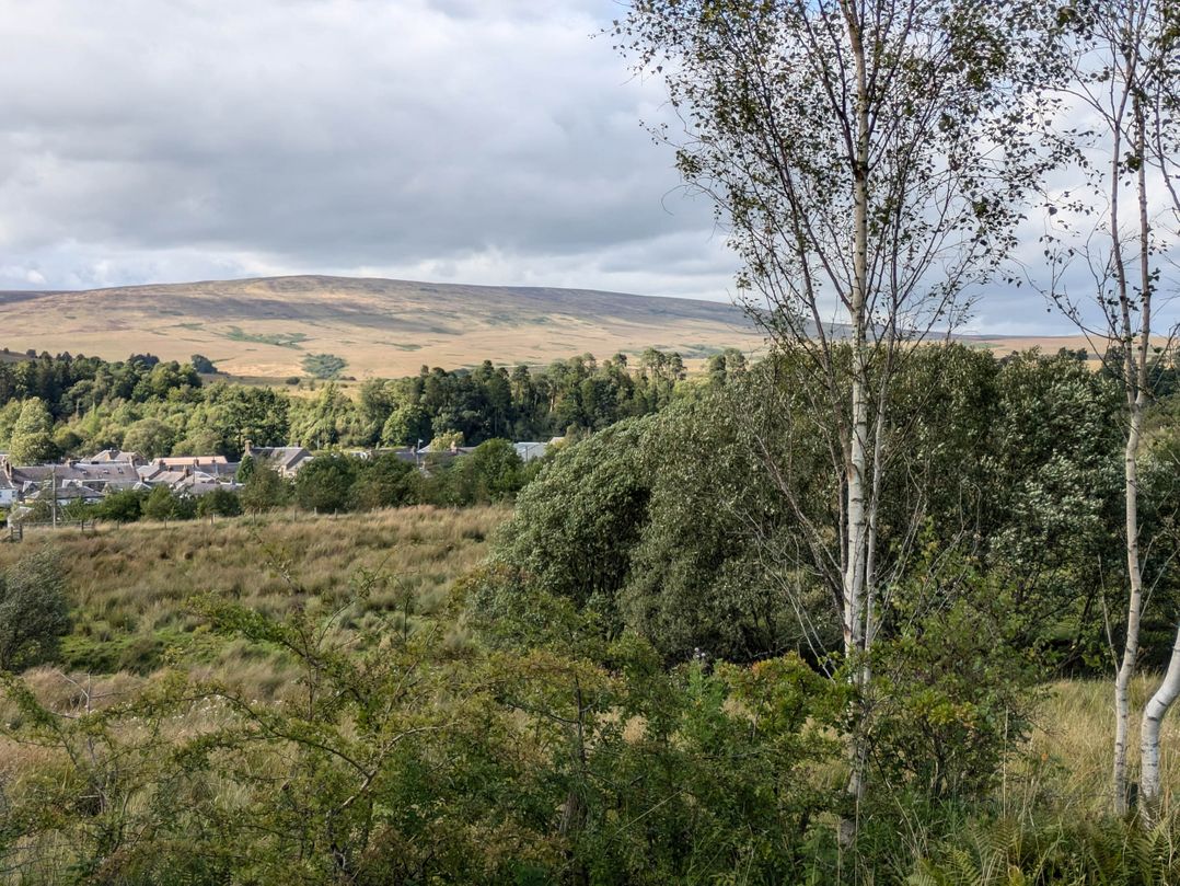 Pet Friendly - Lodge at Riverview Holiday Park