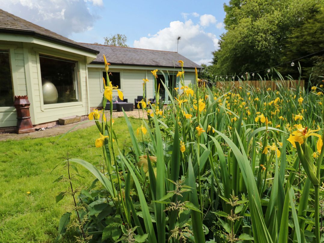 Bulrush Cabin