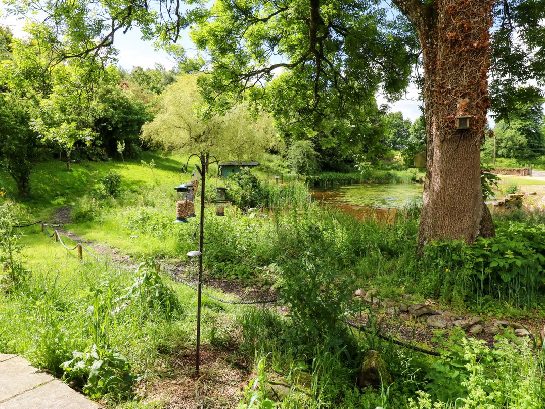 Bulrush Cabin
