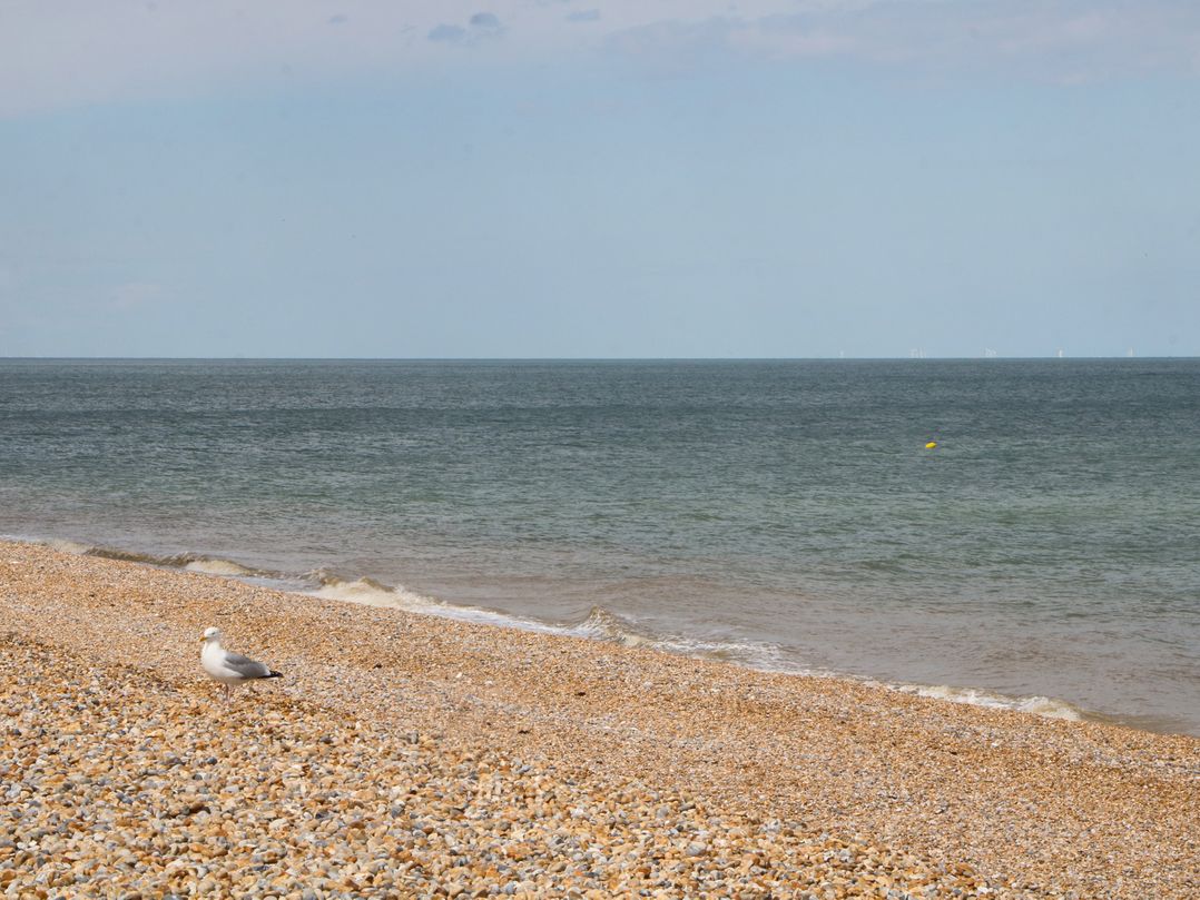 Foreshore