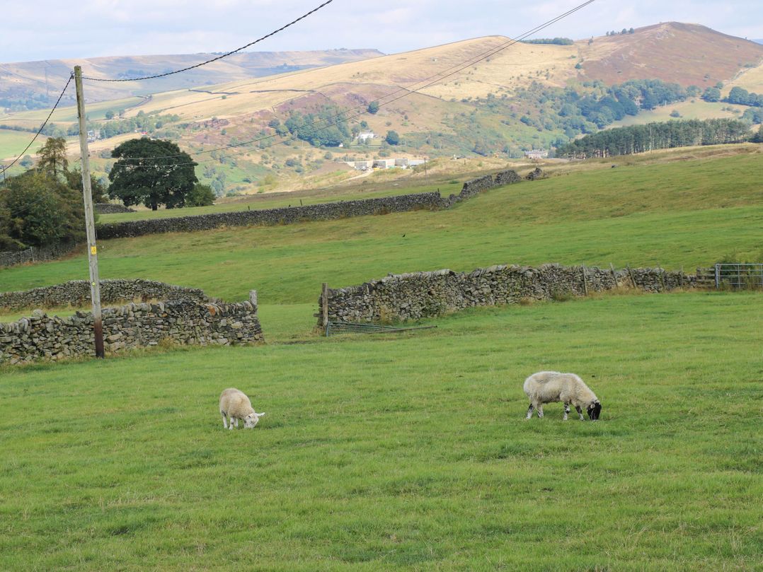 The Lodge at Piece Farm