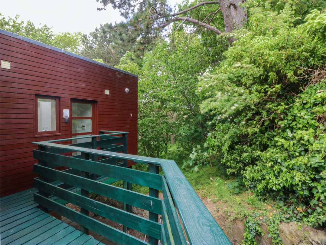 The Treehouse