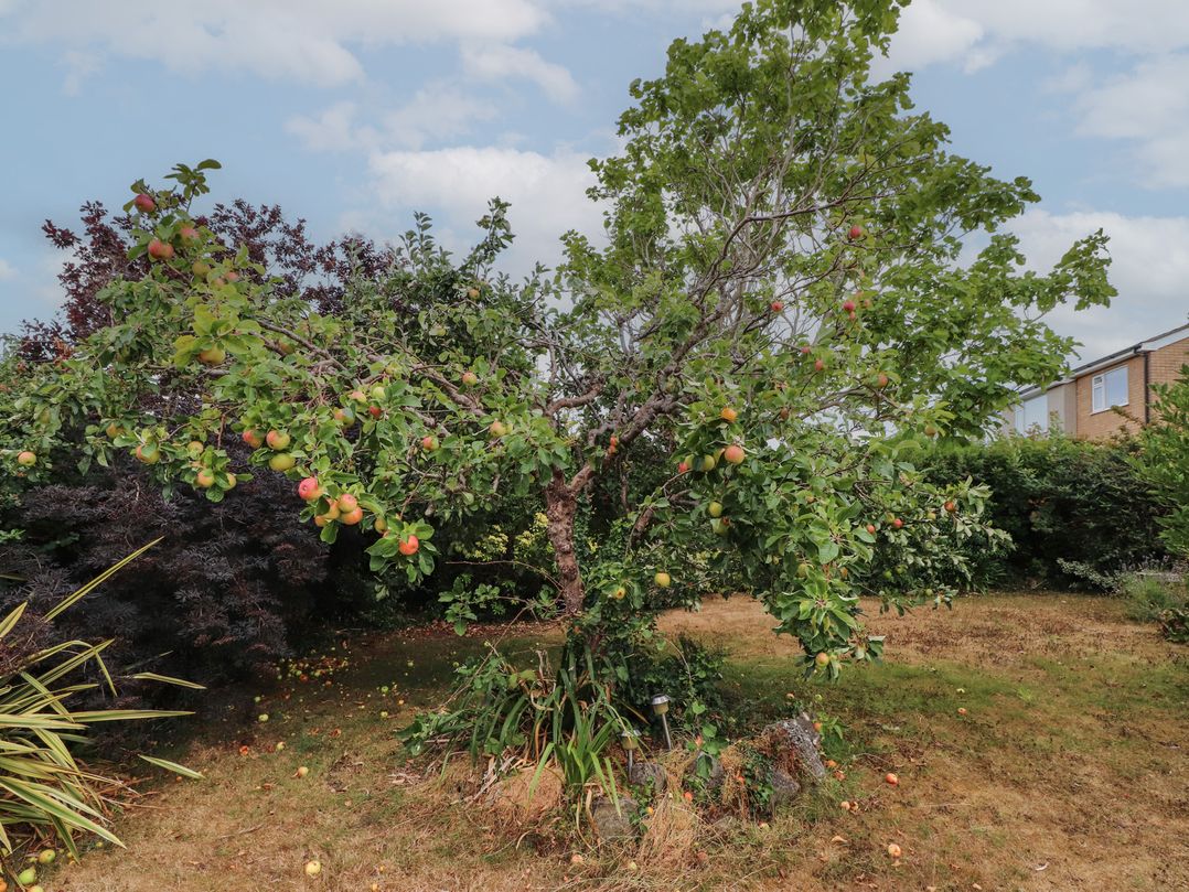 Nampara