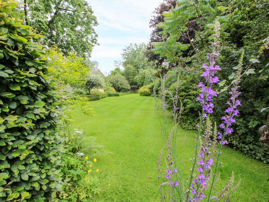 Apartment 1