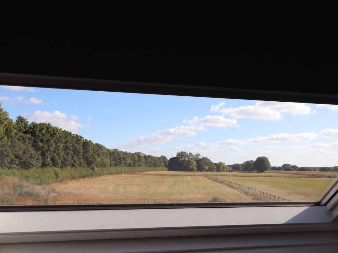 Fields View