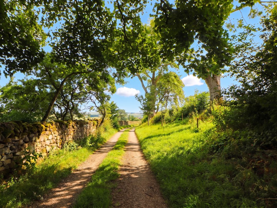 Claybottom Farm