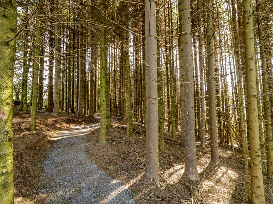 Gortin Glen Glamping Pod 2